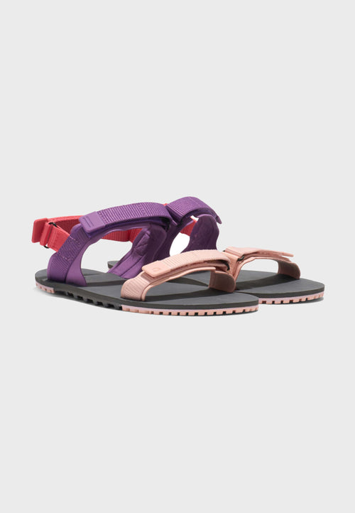 Xero Shoes D-Trail sandal  - Dewberry Multi - Pink/Lilla/Rosa